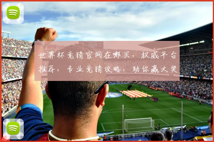 世界杯竞猜官网在哪买，权威平台推荐，专业竞猜攻略，助你赢大奖