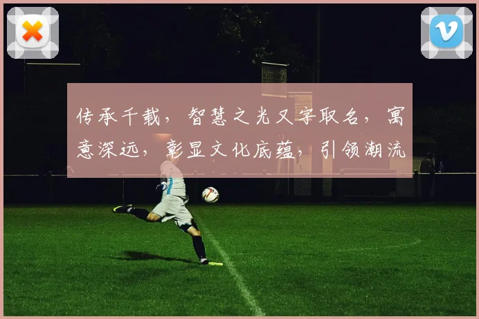 传承千载，智慧之光又字取名，寓意深远，彰显文化底蕴，引领潮流风尚