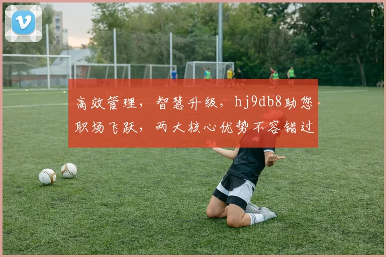 高效管理，智慧升级，hj9db8助您职场飞跃，两大核心优势不容错过