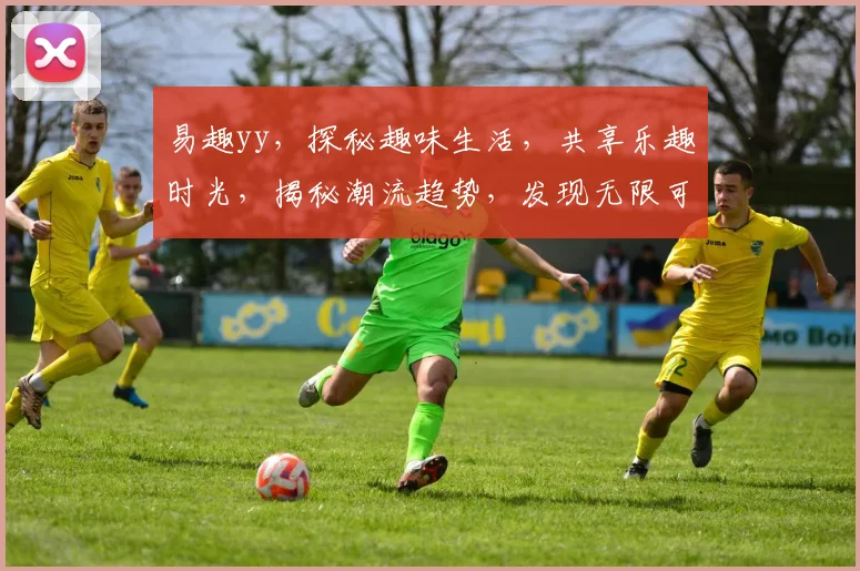 易趣yy，探秘趣味生活，共享乐趣时光，揭秘潮流趋势，发现无限可能，体验独特魅力。
